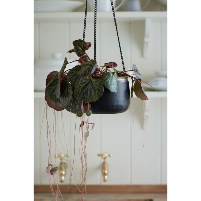 Burgon and Ball Saraha Sunset - Medium Hanging Pot